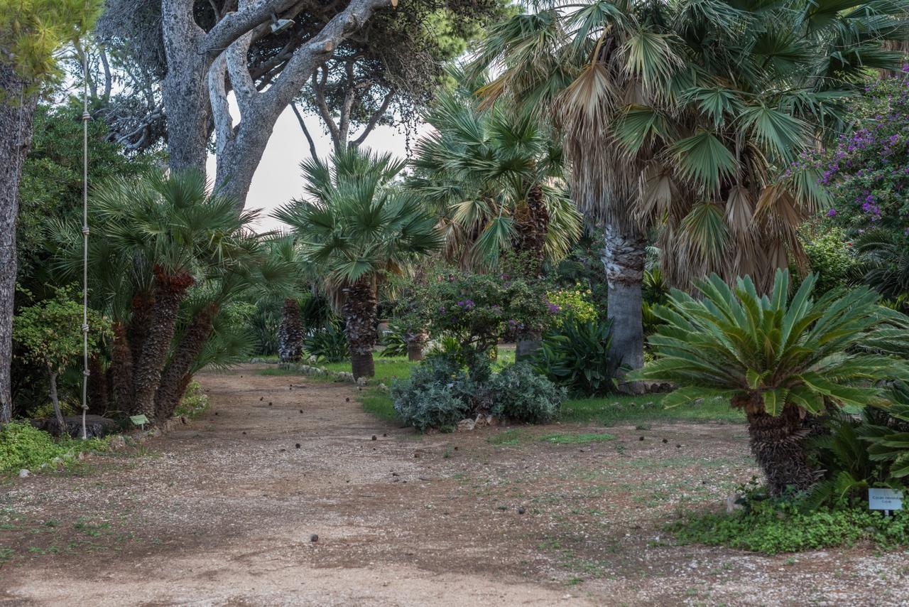 Azienda Agrituristica Tenuta Pizzolungo Эриче Экстерьер фото