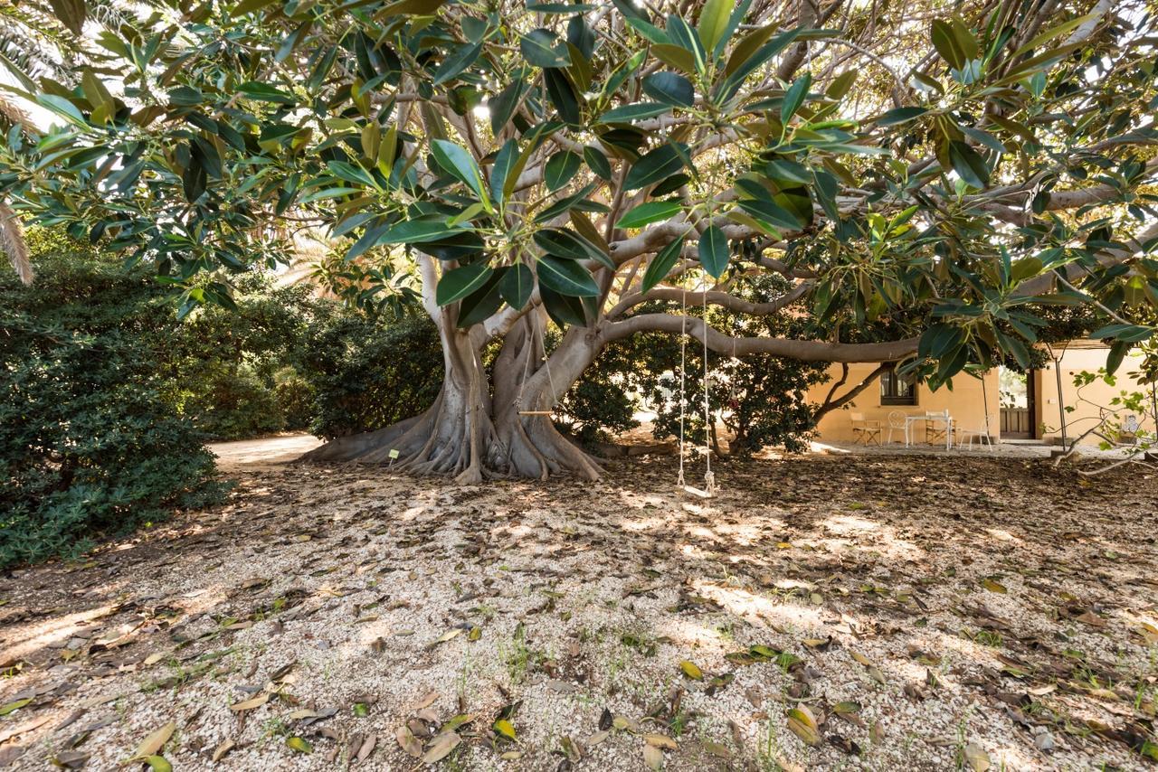 Azienda Agrituristica Tenuta Pizzolungo Эриче Экстерьер фото